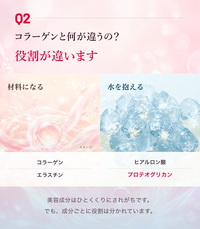 Q2 コラーゲンと何が違うの？成分の役割を比較したイメージ図。材料になるコラーゲン・エラスチンと、水を抱えるヒアルロン酸・プロテオグリカンを紹介。