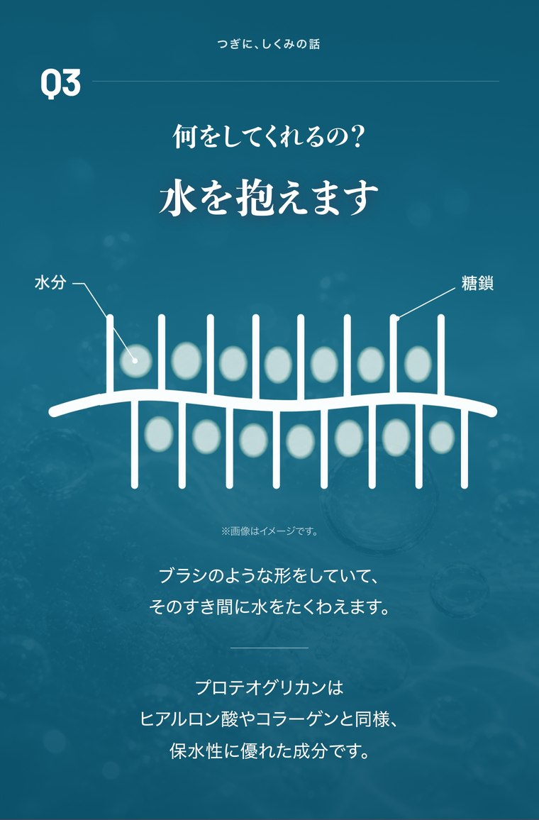 Q3 何をしてくれるの？プロテオグリカンが水を抱える仕組みのイメージ図。ブラシ状のすき間に水をたくわえる、ヒアルロン酸やコラーゲンと同様、保水性に優れた成分です。