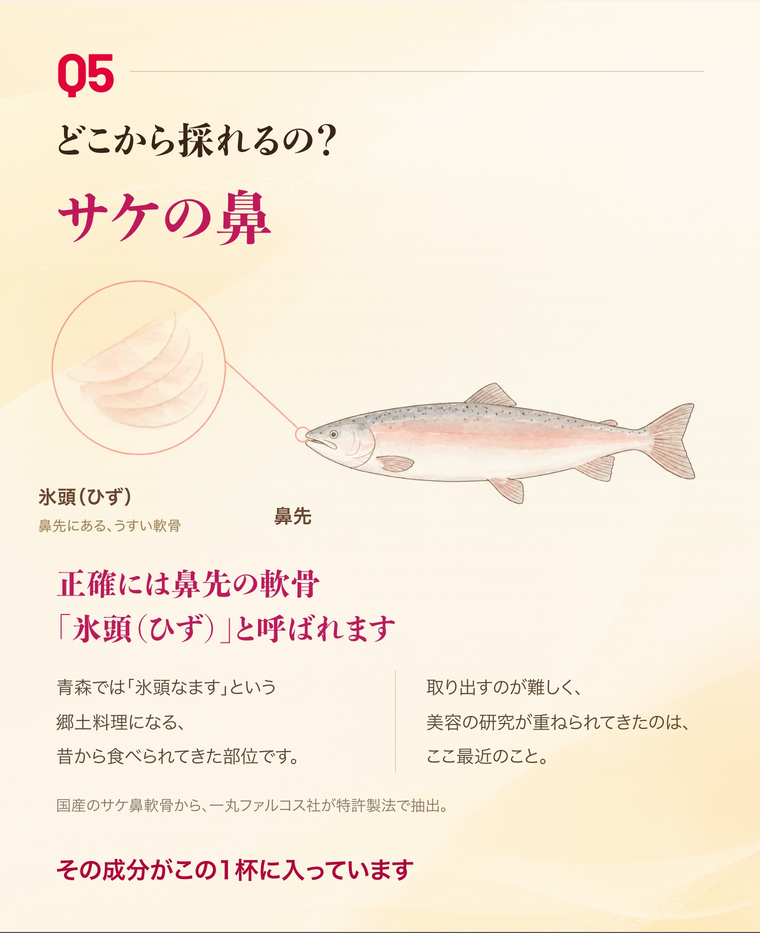 Q5 どこから採れるの？サケの鼻先の軟骨「氷頭（ひず）」。国産のサケ鼻軟骨から一丸ファルコス社が特許製法で抽出した成分を配合しています。