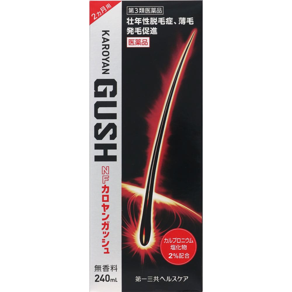 ＮＦカロヤンガッシュ 240mL [第3類医薬品]