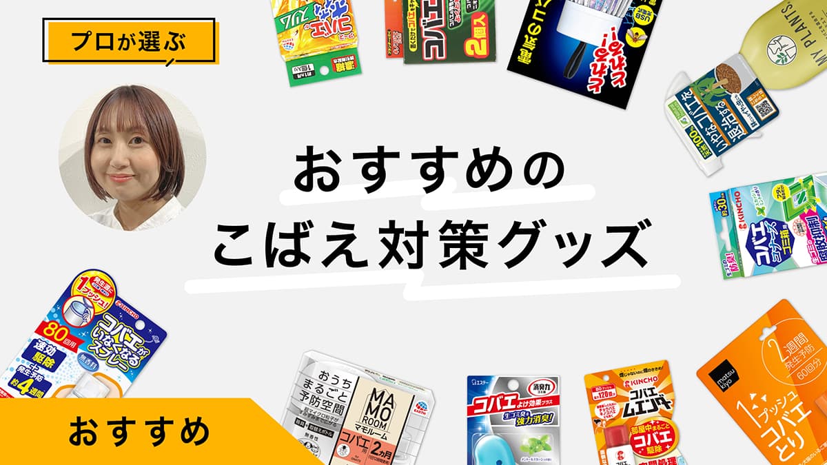 こばえ対策商品おすすめ10選｜プロが試してレビュー！増やさないための環境整備