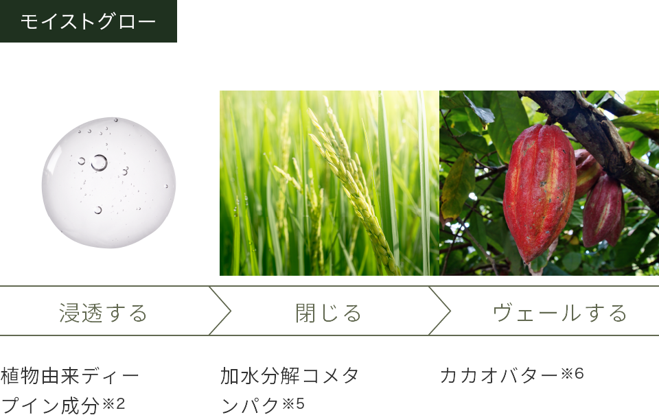 モイストグロー