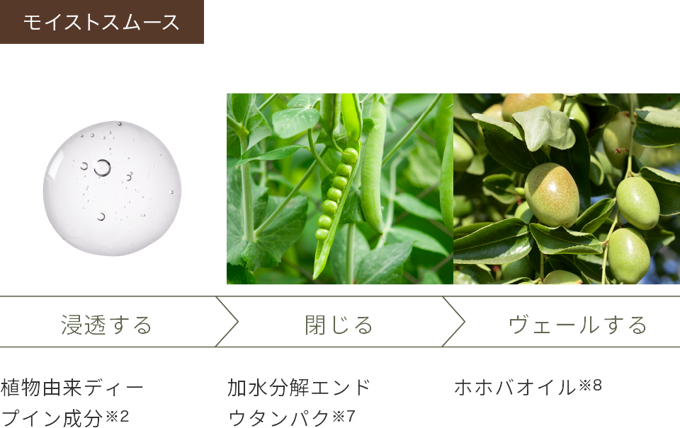 モイストスムース