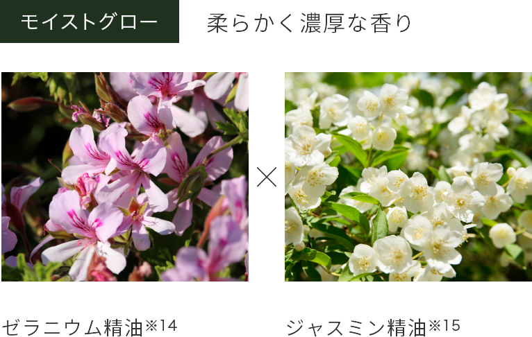 モイストグロー