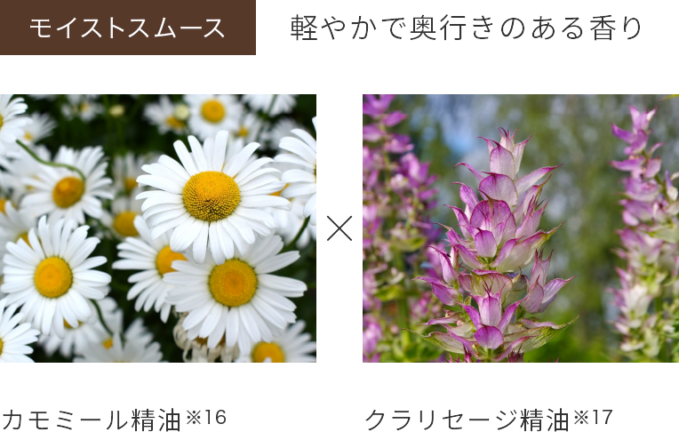 モイストスムース