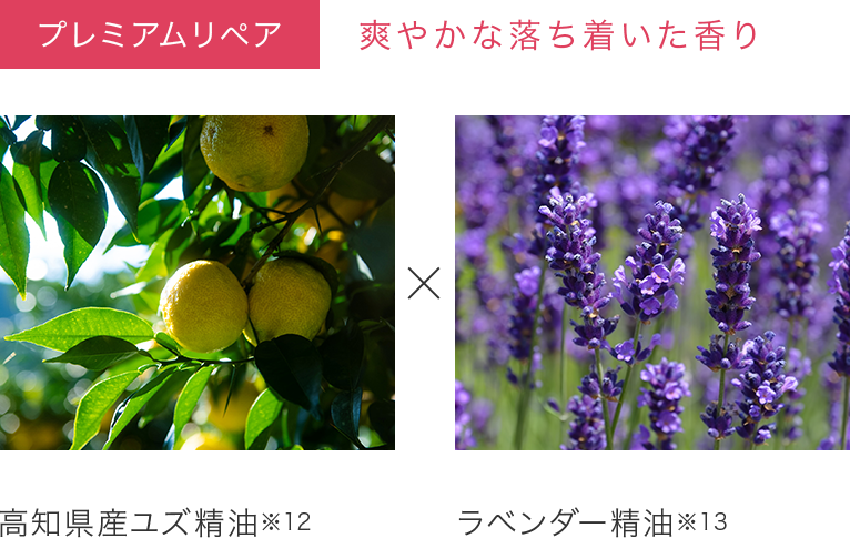 モイストグロー
