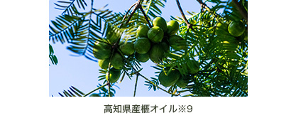 ナタネリペアショット