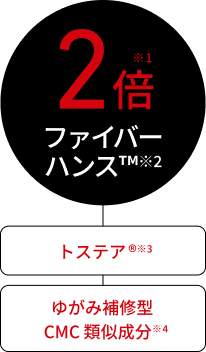 2倍ファイバーハンス™