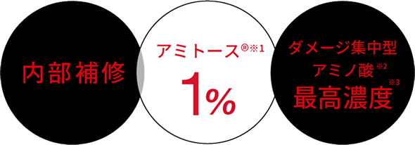 内部補修 アミトース ダメージ集中型アミノ酸最高濃度