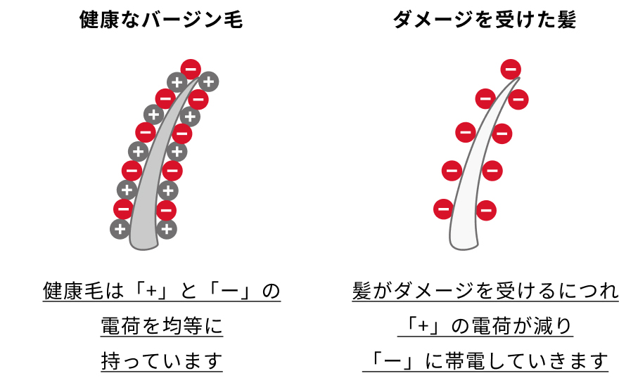 健康なバージン毛とダメージを受けた髪