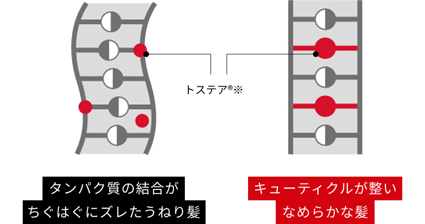 次世代サロン成分「トステア®」
