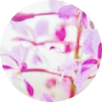 オーガニックアルガンオイル