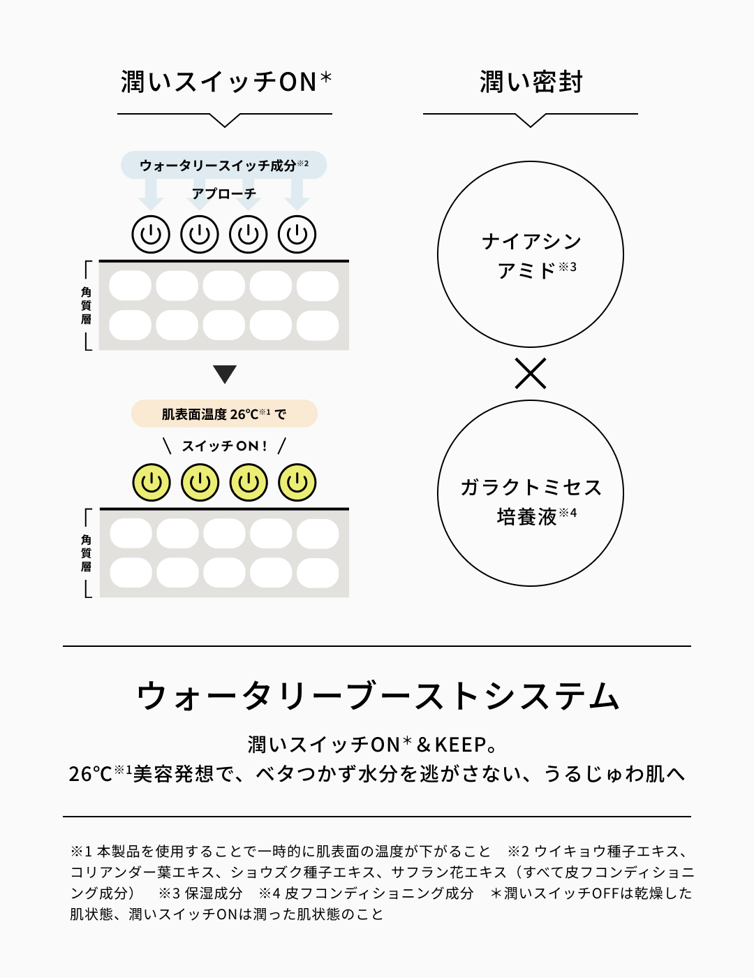 ウォータリーブーストシステム