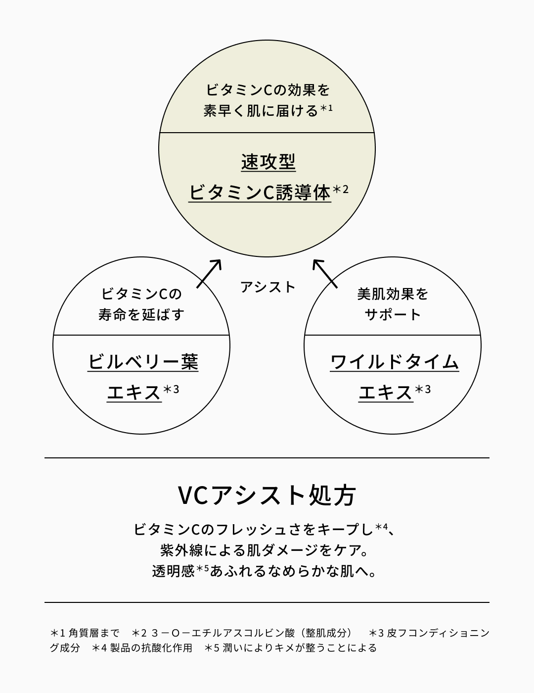 VCアシスト処方