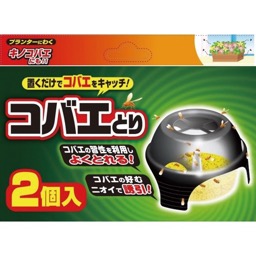 コバエトリの画像