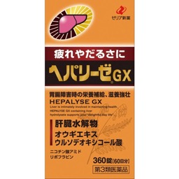 ヘパリーゼＧＸの画像