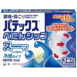 パテックスぺたんシップαの画像