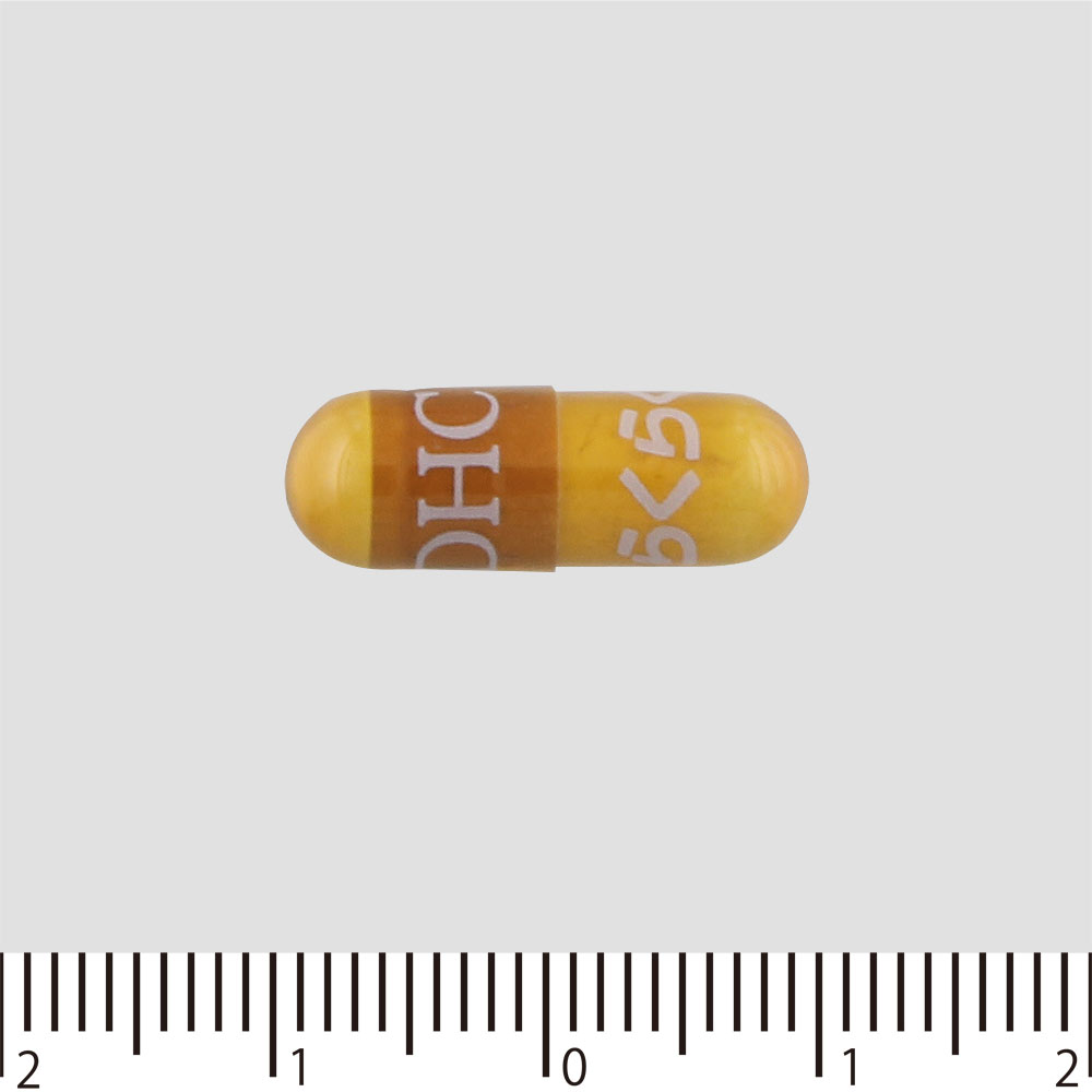 極らくらく １２０粒 ディーエイチシー