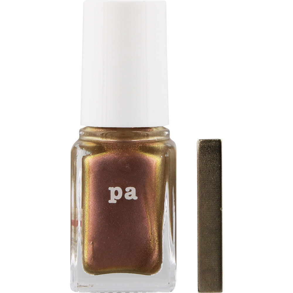 pa nail collective マグネットアレンジコート care 07 ディアローラ