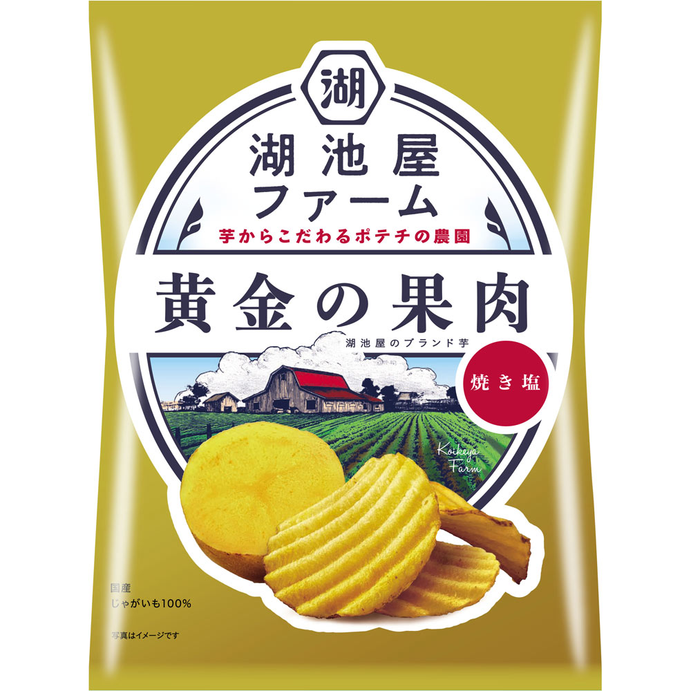 湖池屋ファーム 黄金の果肉 焼き塩 ５５ｇ 湖池屋