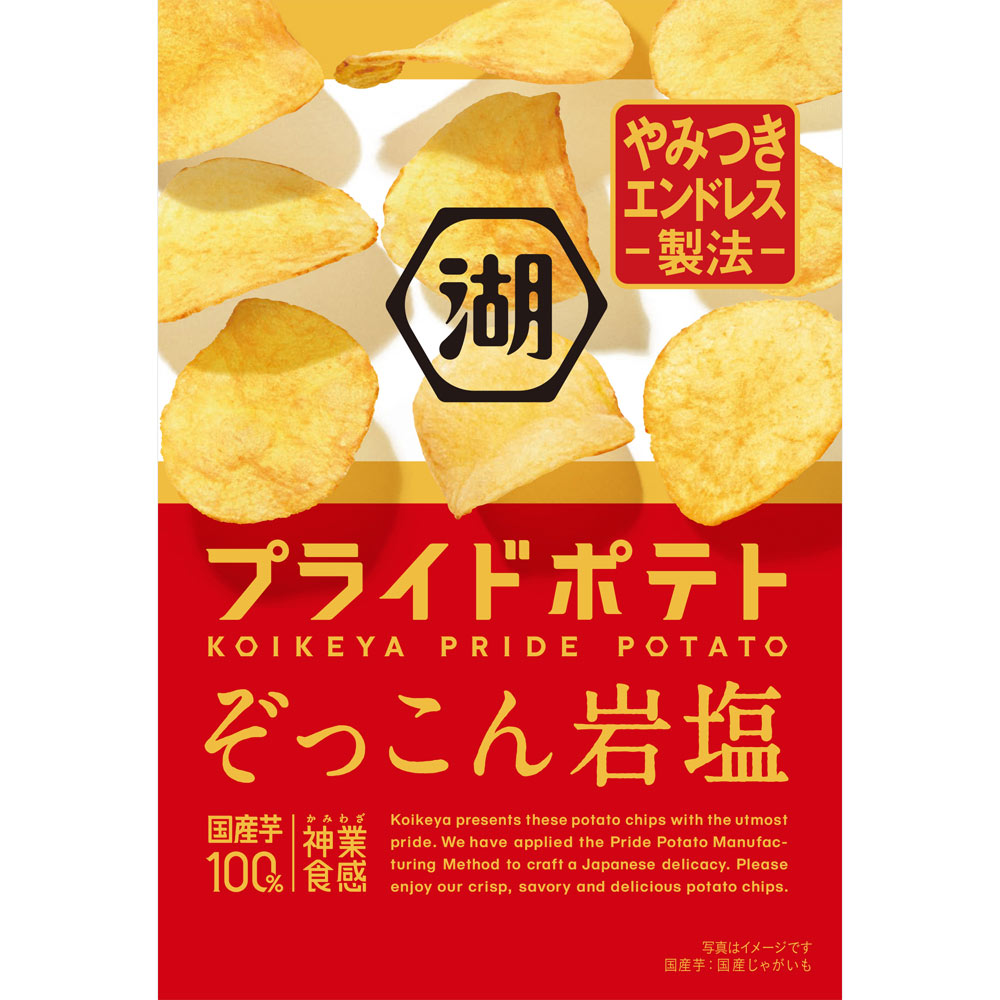 湖池屋プライドポテトぞっこん岩塩 ５５ｇ 湖池屋