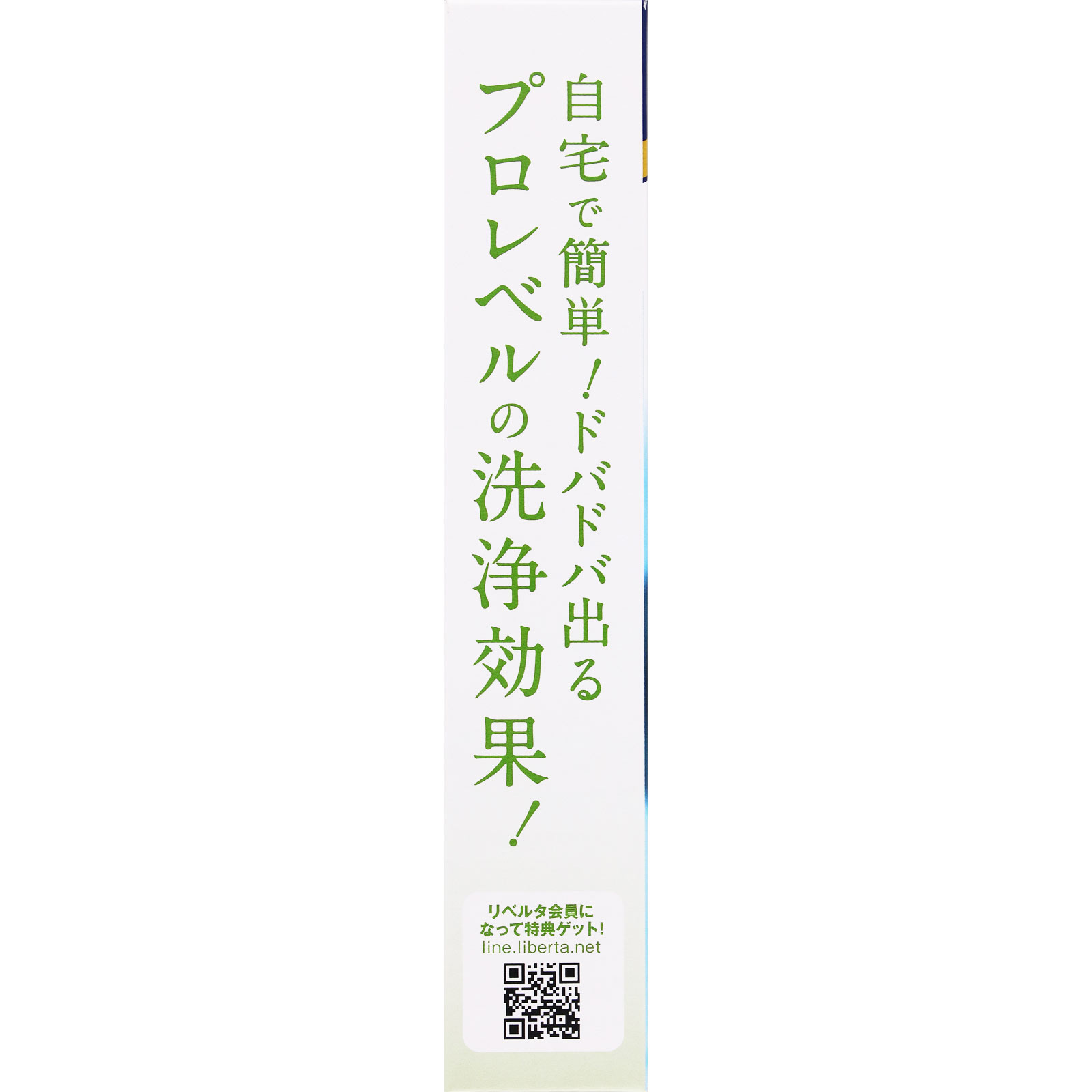 ヘドロトルネード風呂釜洗浄 ３５０ｇ リベルタ