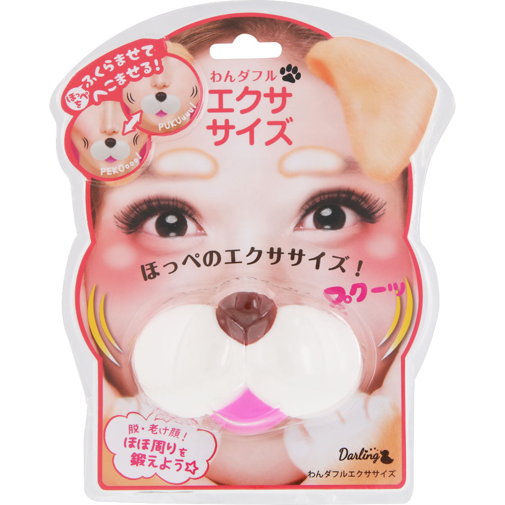 わんダフル エクササイズ ＿ トレンディハウス