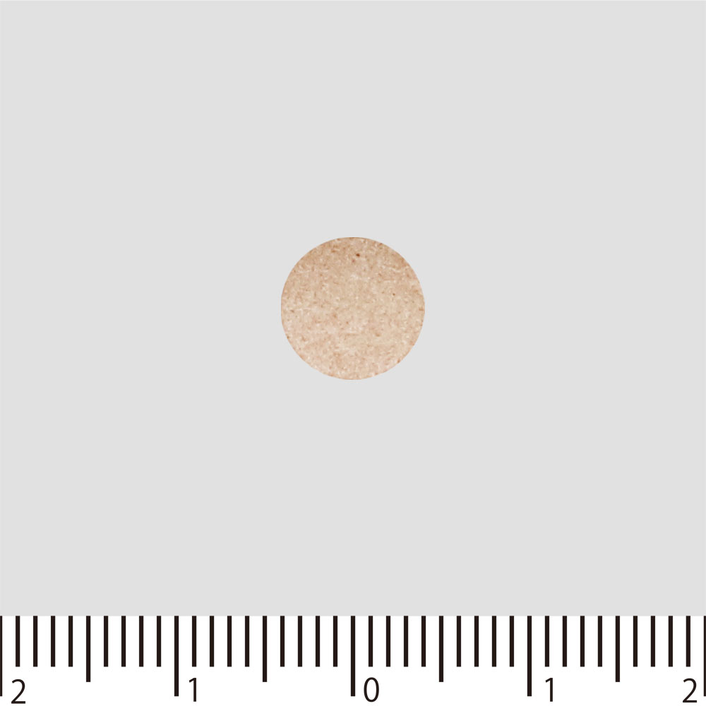 メタバリア 葛の花イソフラボン １２０粒 富士フイルム