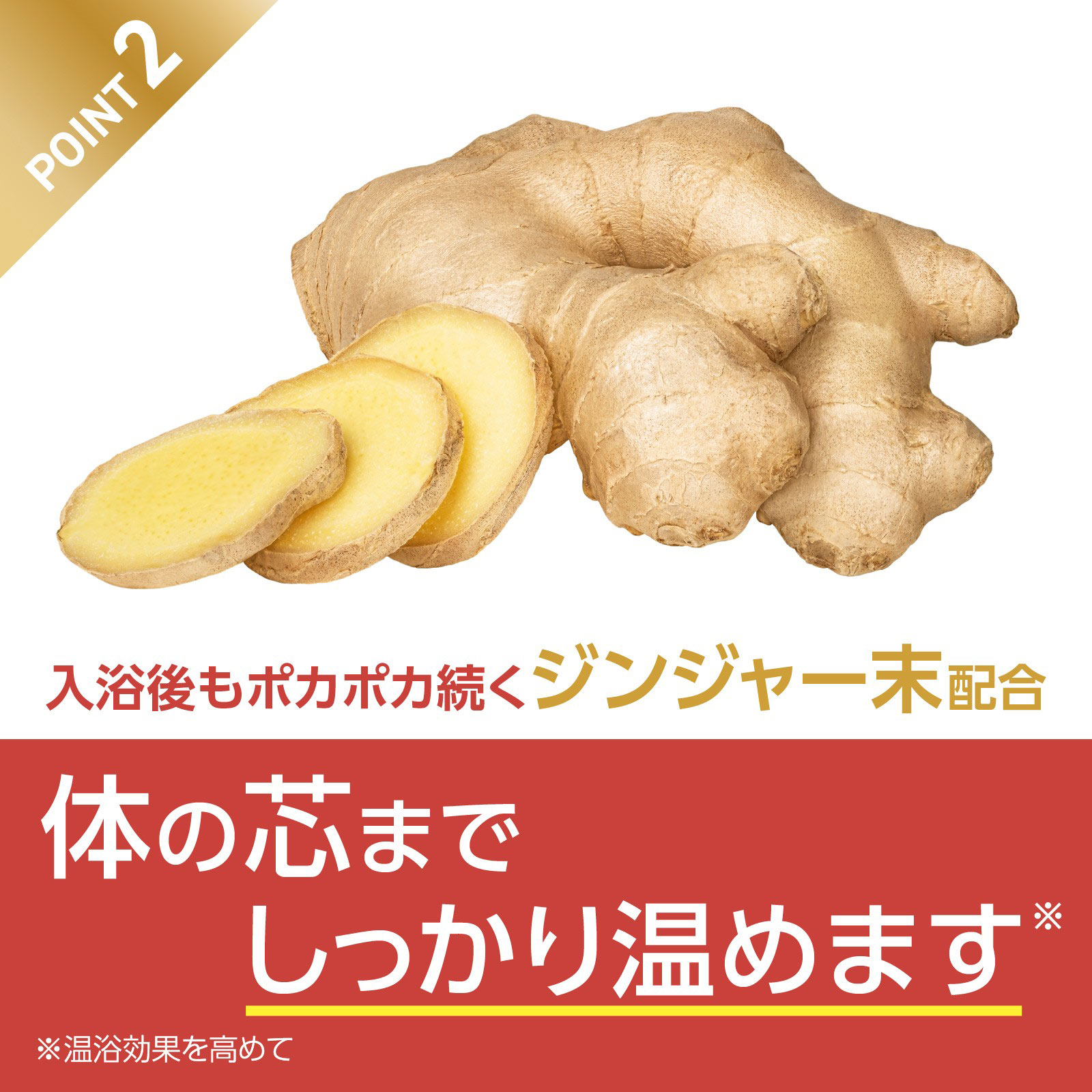 きき湯ファインヒート スマートモデル つめかえ用 500g アース製薬 (医薬部外品)