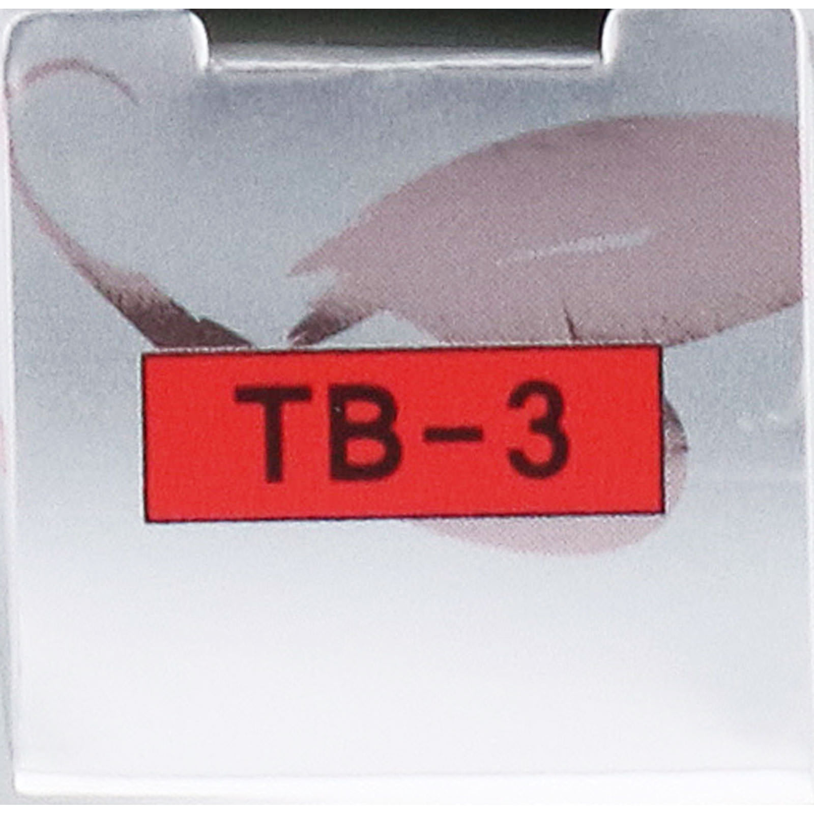 ＬＢ ティントザブラッシュ ３ブライトコーラル ２．２ｇ アイケイ