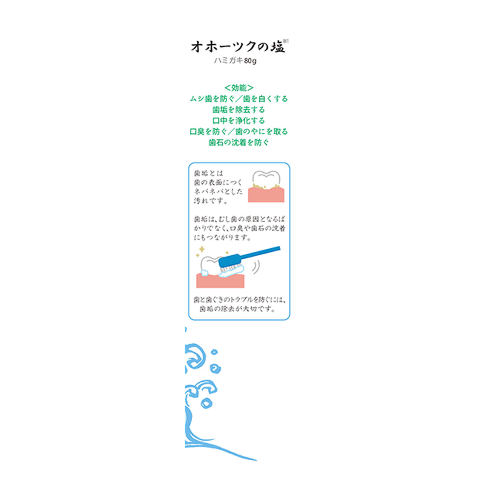オホーツクの塩 歯磨き ８０Ｇ 小六