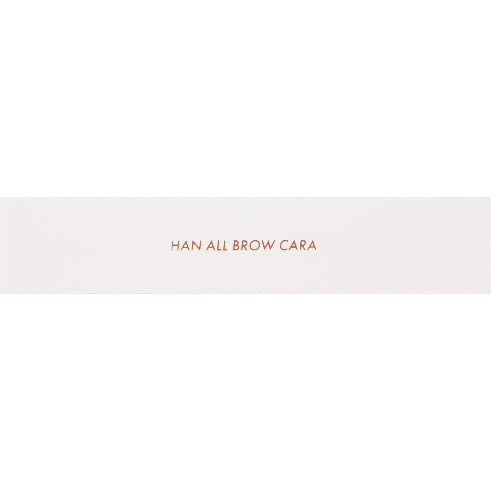 ロムアンド HA ブロウカラ 09 SAND GREY 9g 韓国高麗人蔘社