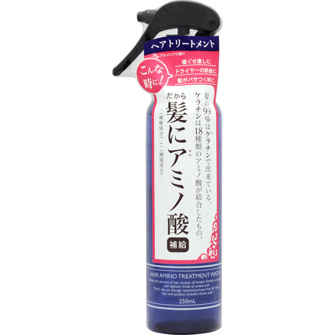 ヘアアミノトリートメントウォーターＮ ２５０ｍｌ