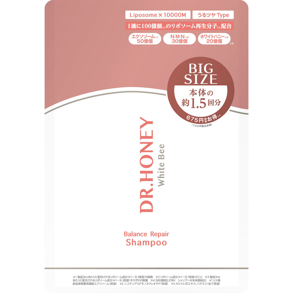DRハニー ホワイトビー バランス リペア シャンプーつめかえ 510mL H2O