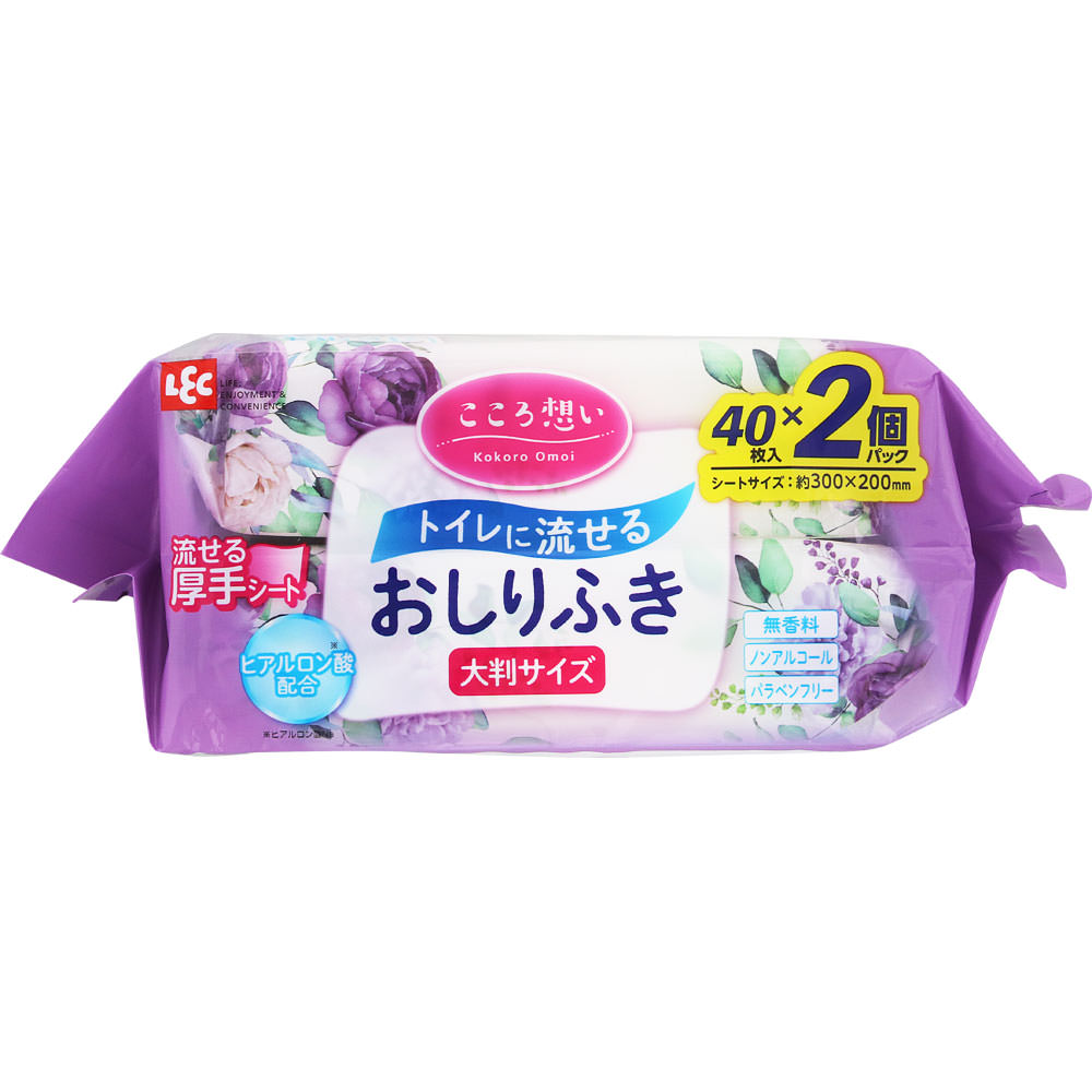 こころ想い流せるおしりふき大判 ４０枚×２Ｐ レック