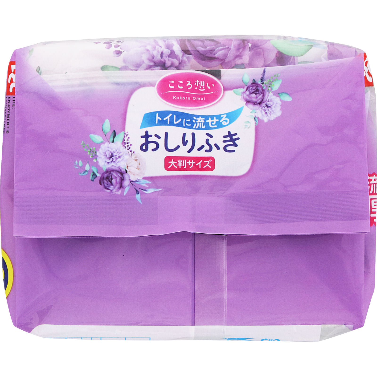 こころ想い流せるおしりふき大判 ４０枚×２Ｐ レック