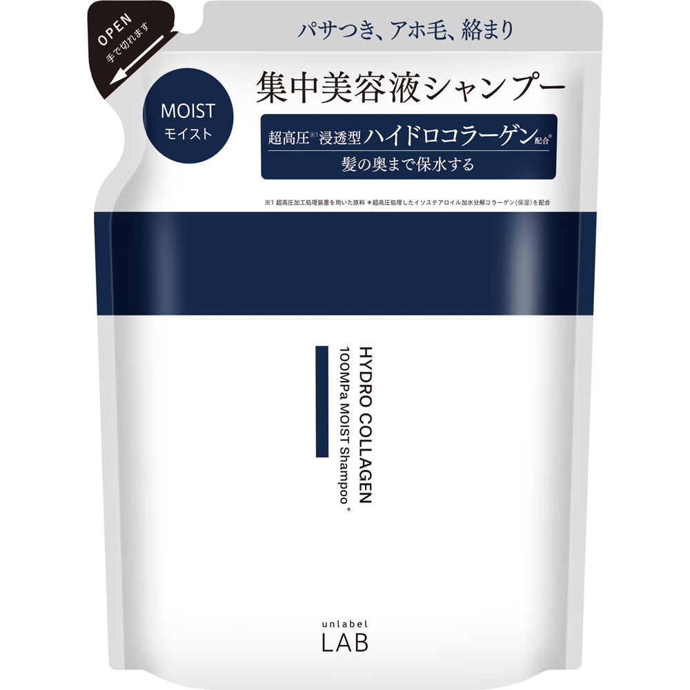 アンレーベルCOモイスト シャンプー詰替 ３１０ｍｌ コスメカンパニー