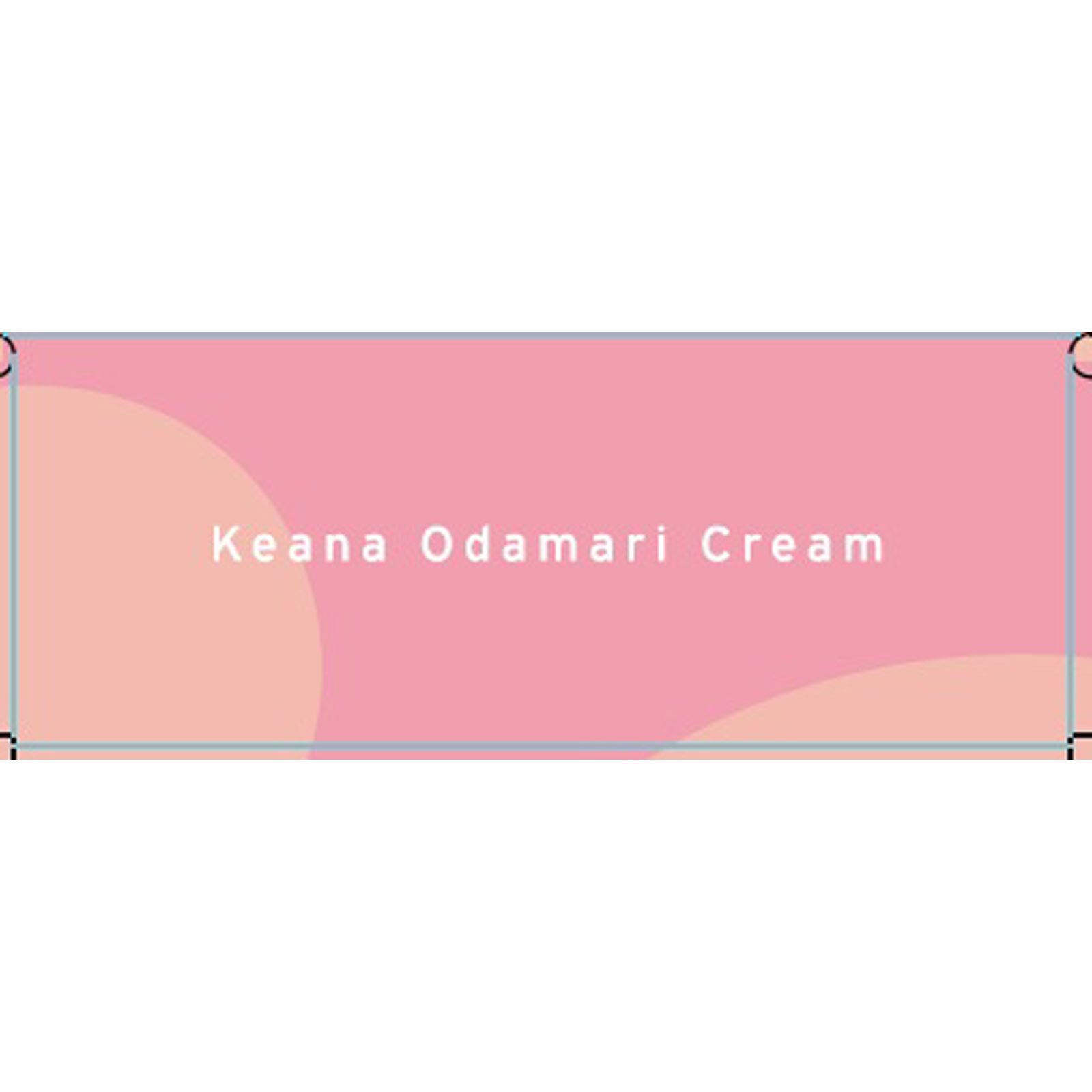 フジコ 毛穴おだまり!クリーム 10g かならぼ