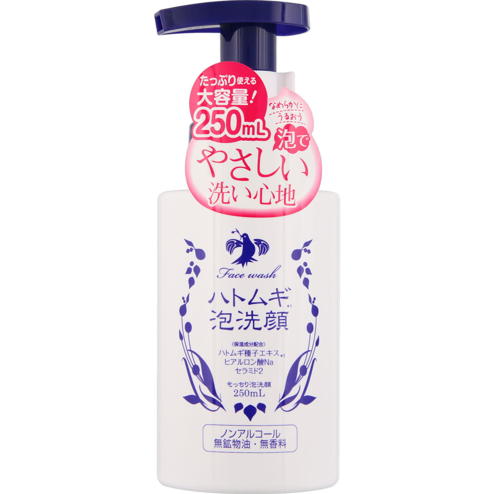ハトムギ泡洗顔　本体 ２５０ｍｌ イヴ