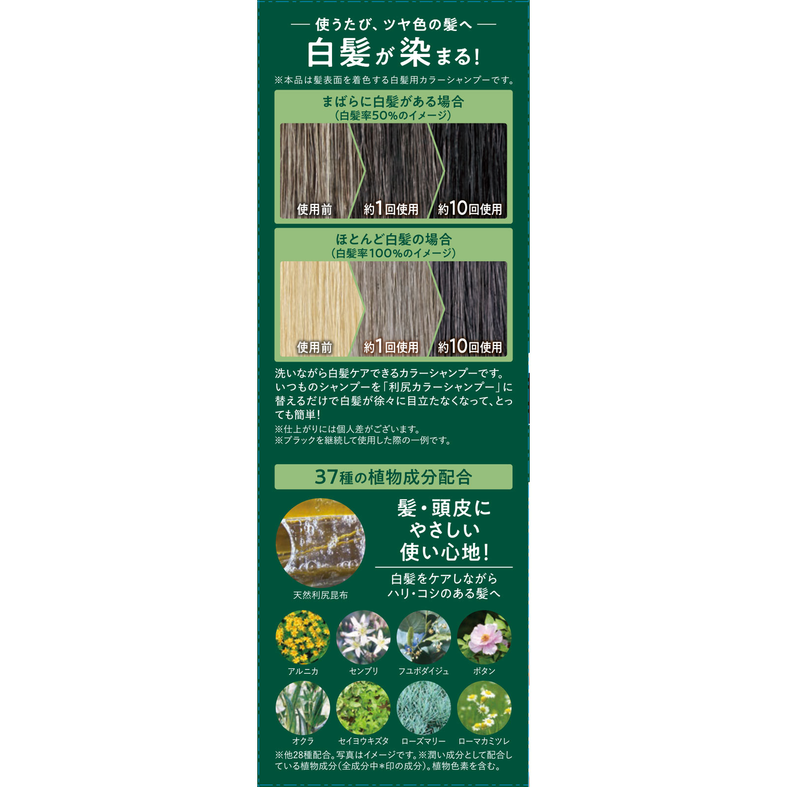 利尻カラーシャンプーＮ　ブラック ２００ｍｌ ピュール