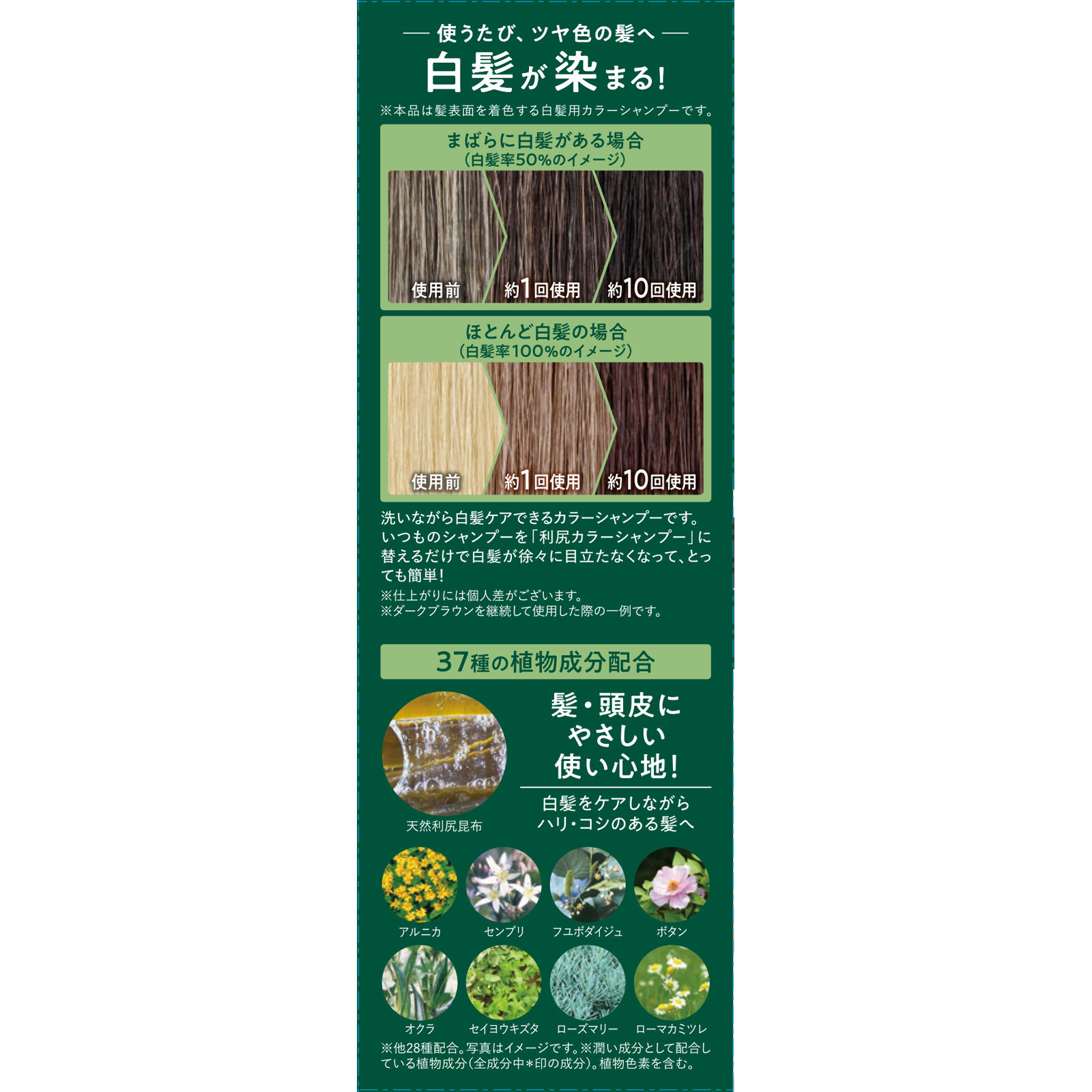 380☆ 白髪用 利尻 カラーシャンプー ダークブラウン 200ml CLUBサスティ 利尻カラーシャンプー ダークブラウン 200ml ピュール