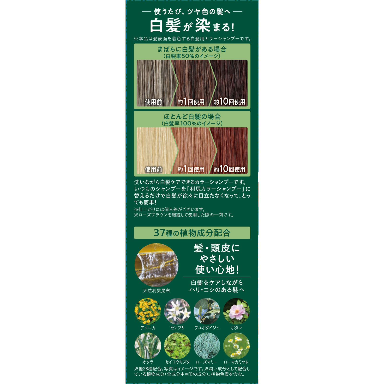 利尻カラーシャンプーＮ　ローズブラウン ２００ｍｌ ピュール