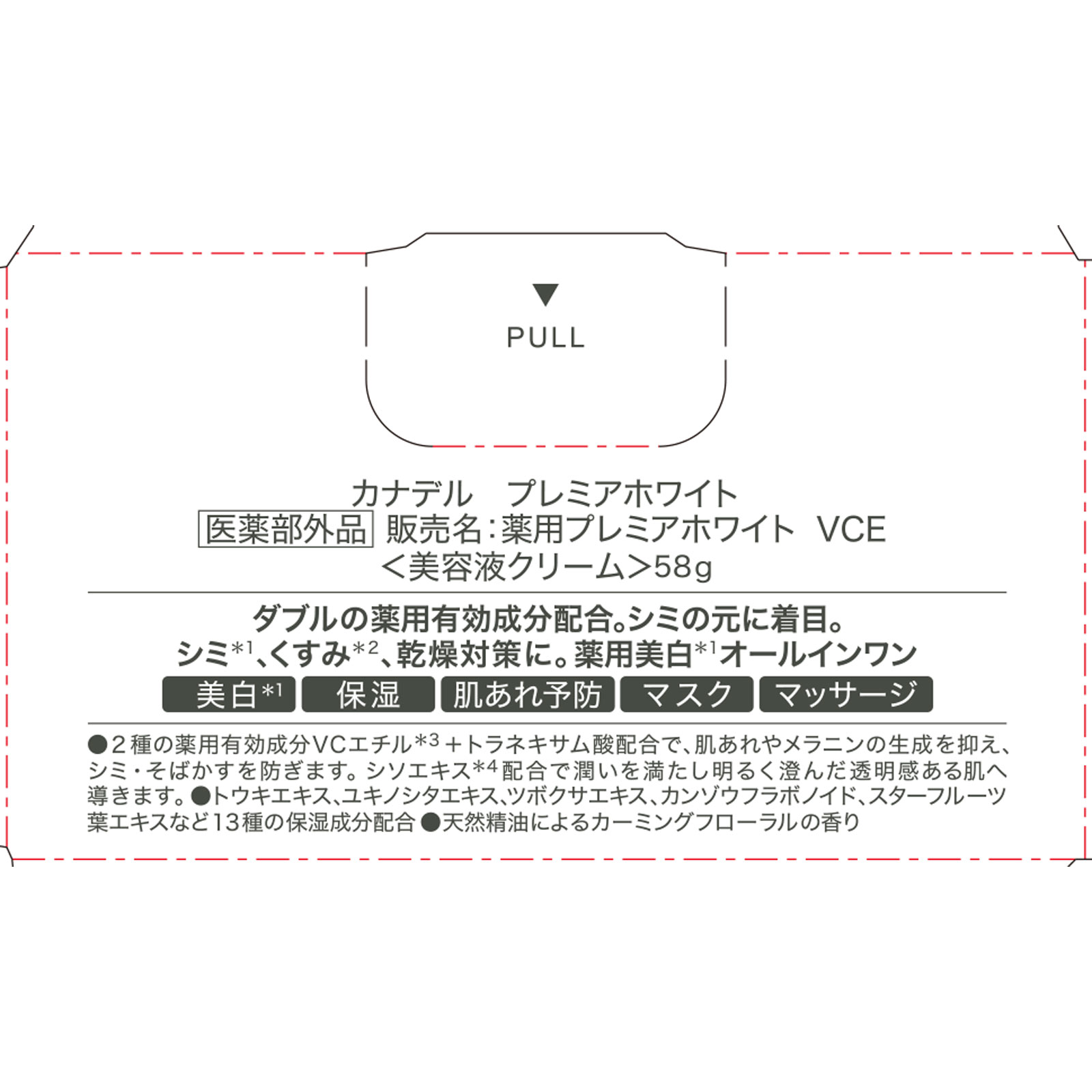 カナデル プレミアホワイト オールインワン ５８ｇ プレミアアンチエイジング
