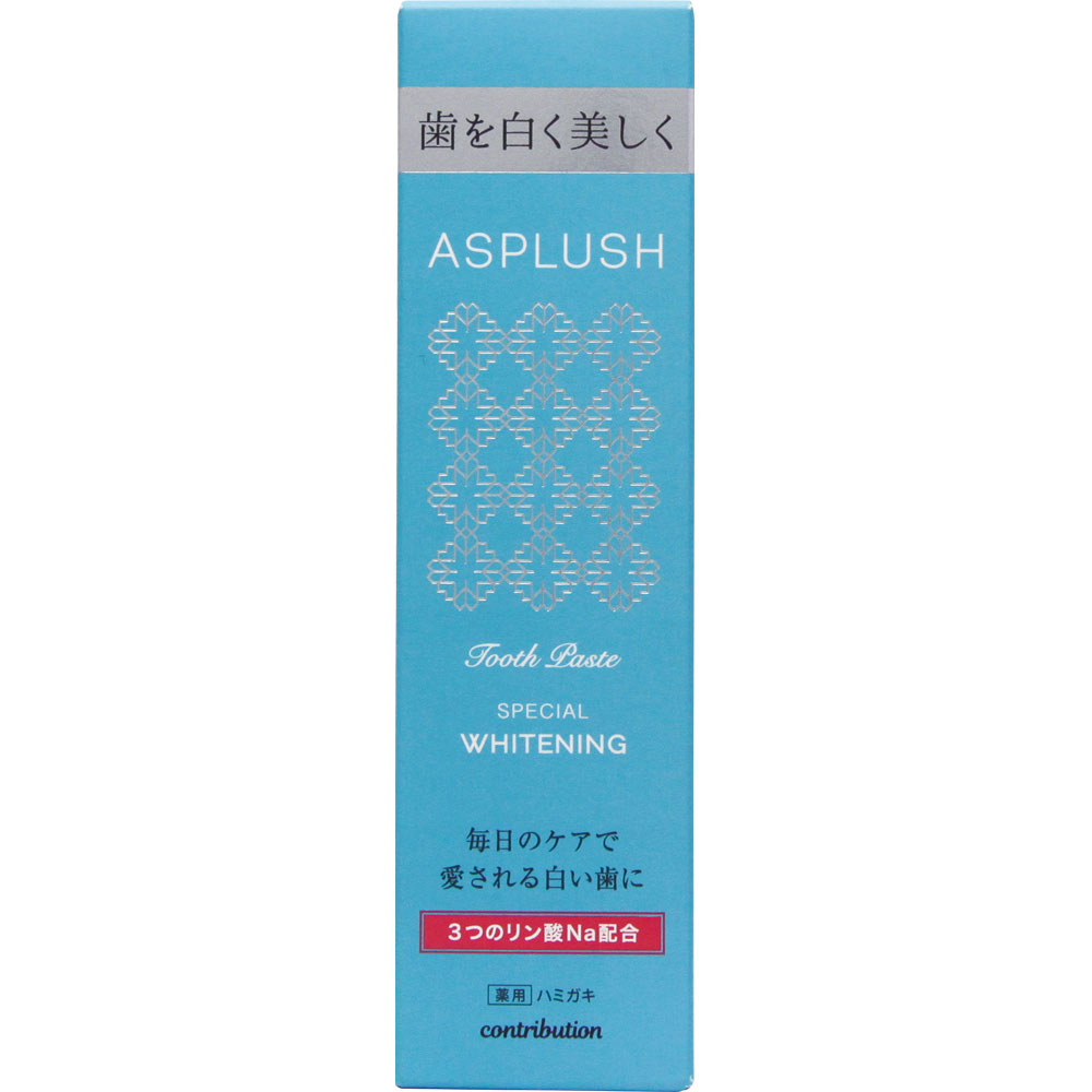 アスプラッシュ　トゥースペースト １００ｇ (医薬部外品)
