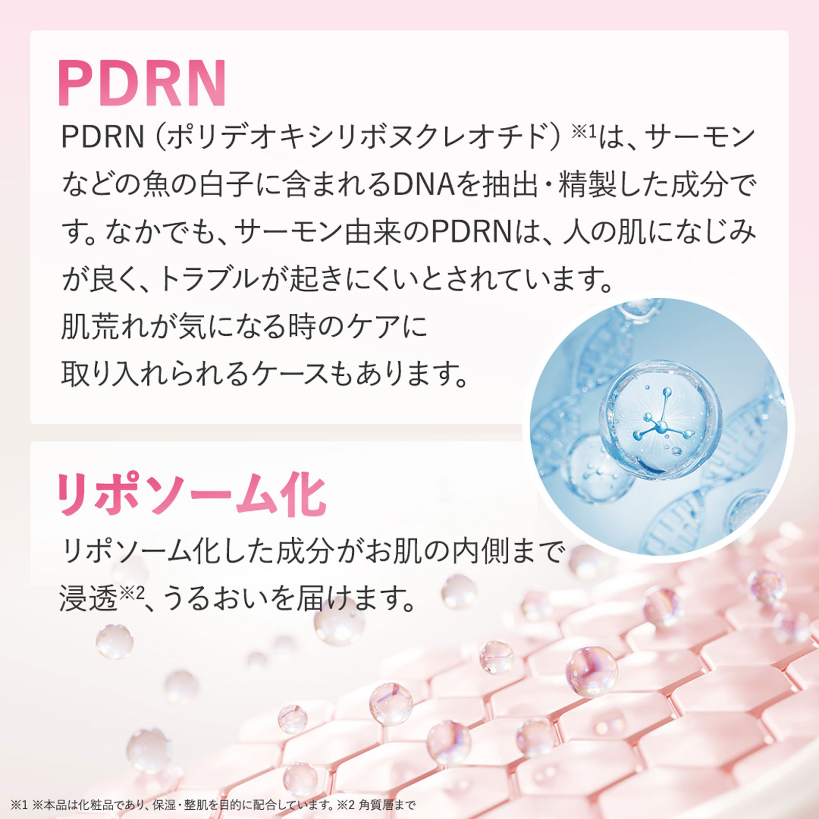 リポピールセラム　ＰＤＲＮ ３０ｍｌ ジーン