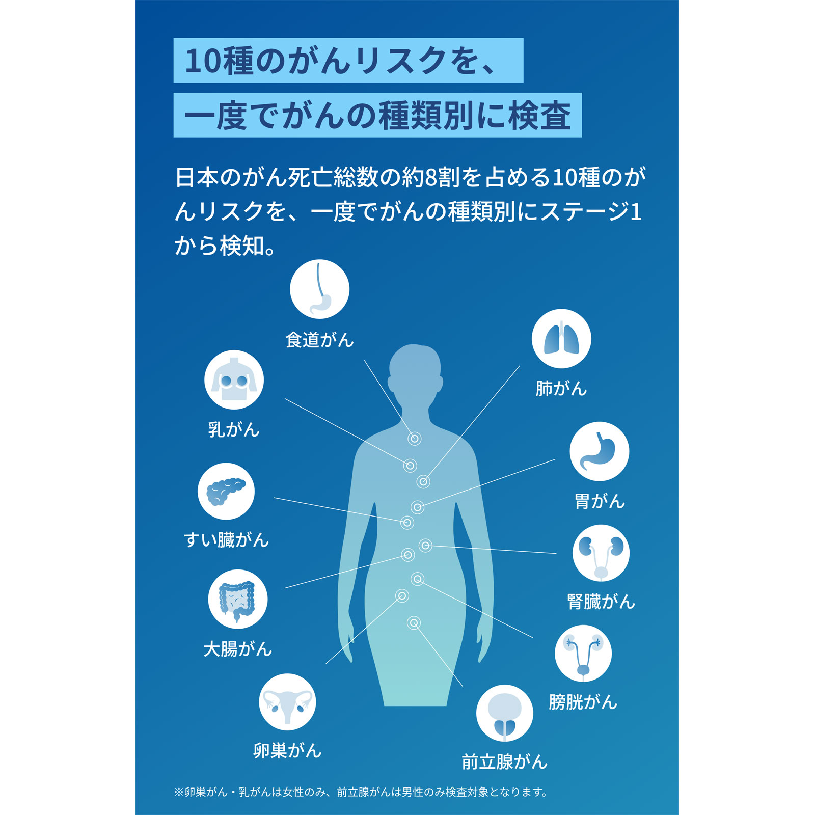 マイシグナル　スキャン １セット Ｃｒａｉｆ