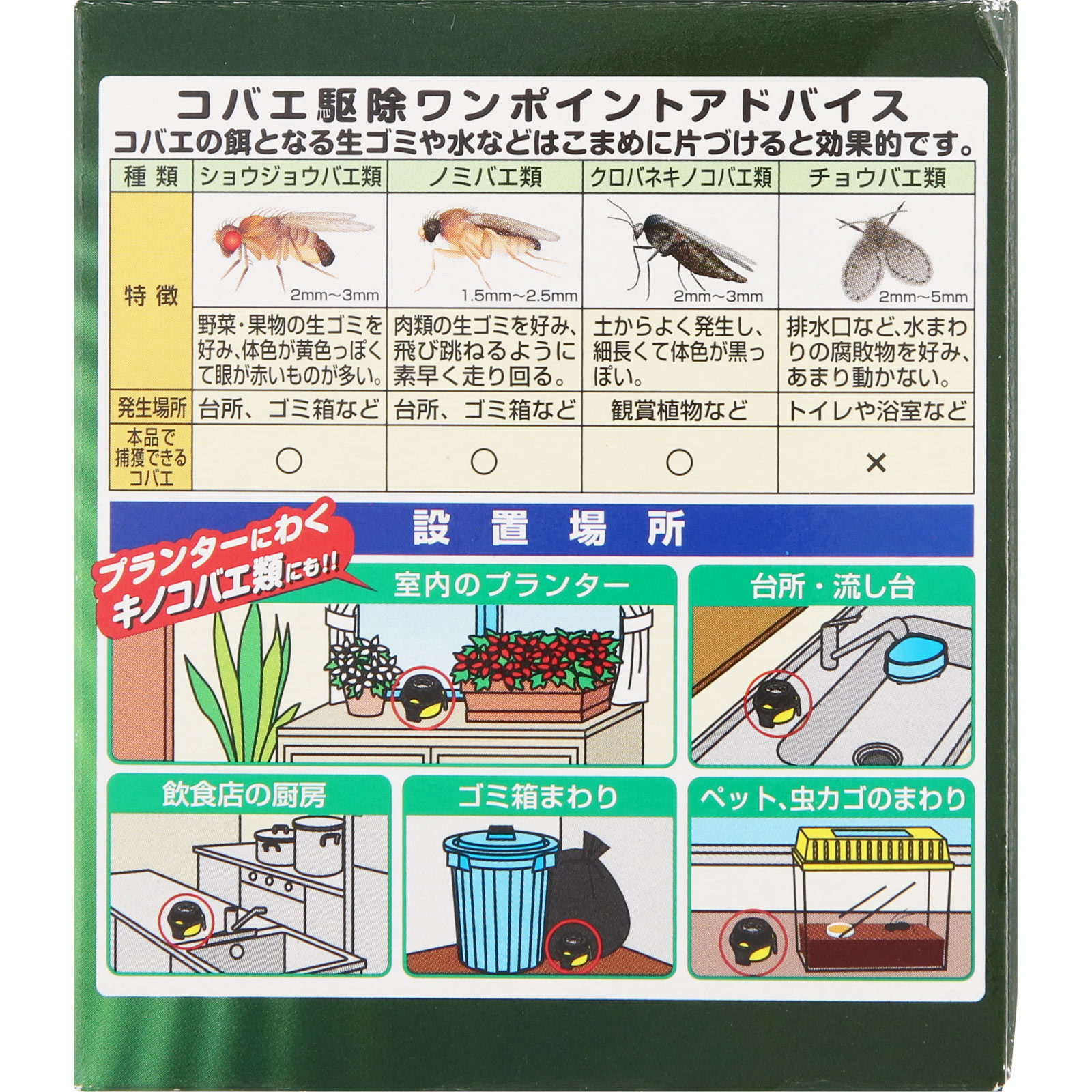 コバエトリ ２個 ライオンケミカル