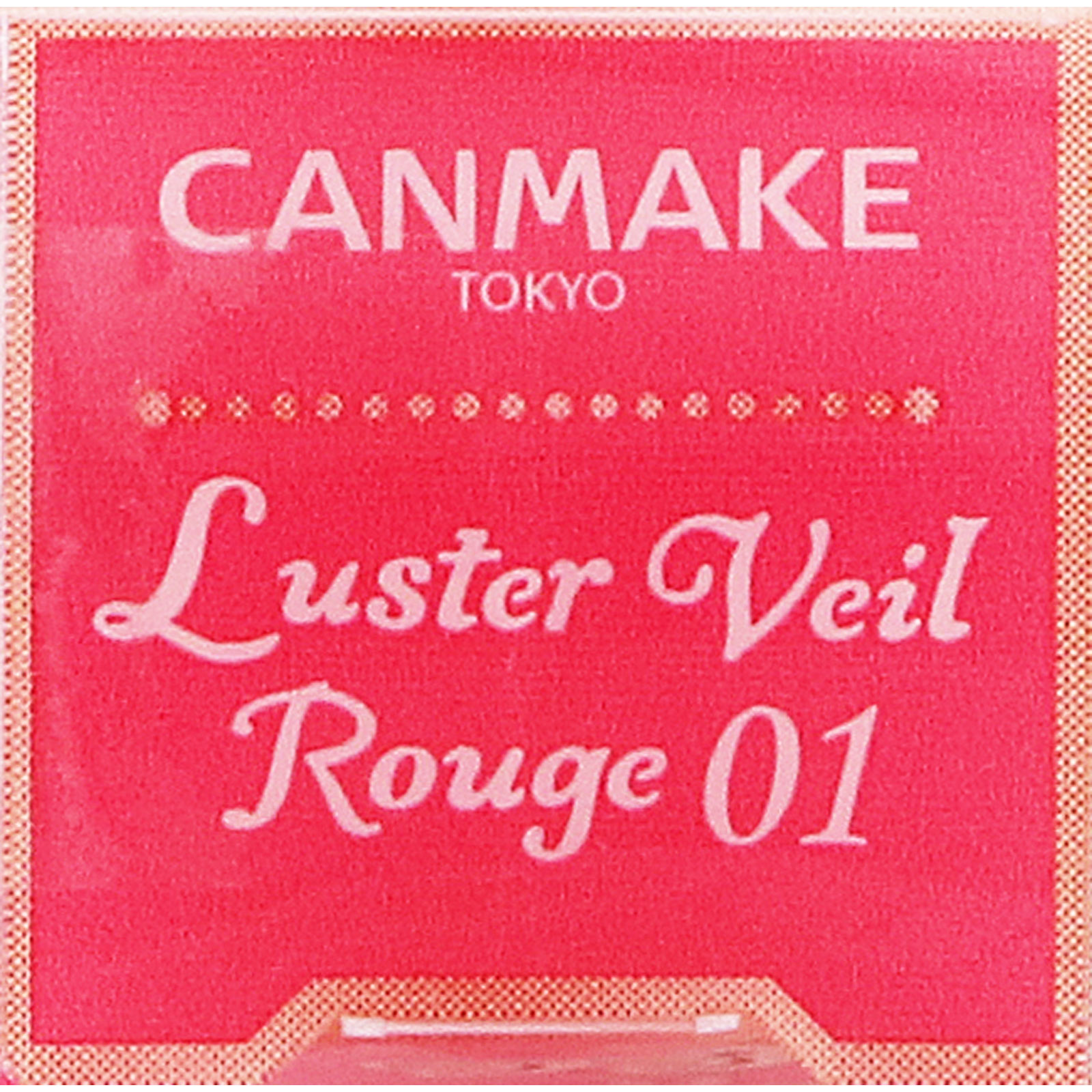 キャンメイク　ラスターヴェールルージュ　０１ ＿ 井田ラボラトリーズ