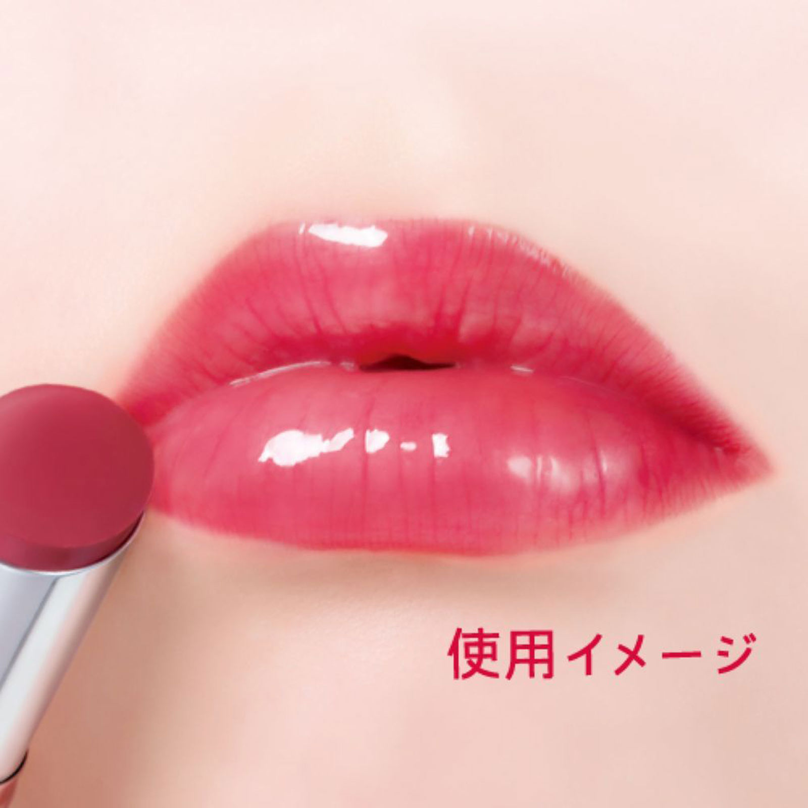 キャンメイク　ラスターヴェールルージュ　０２ ＿ 井田ラボラトリーズ