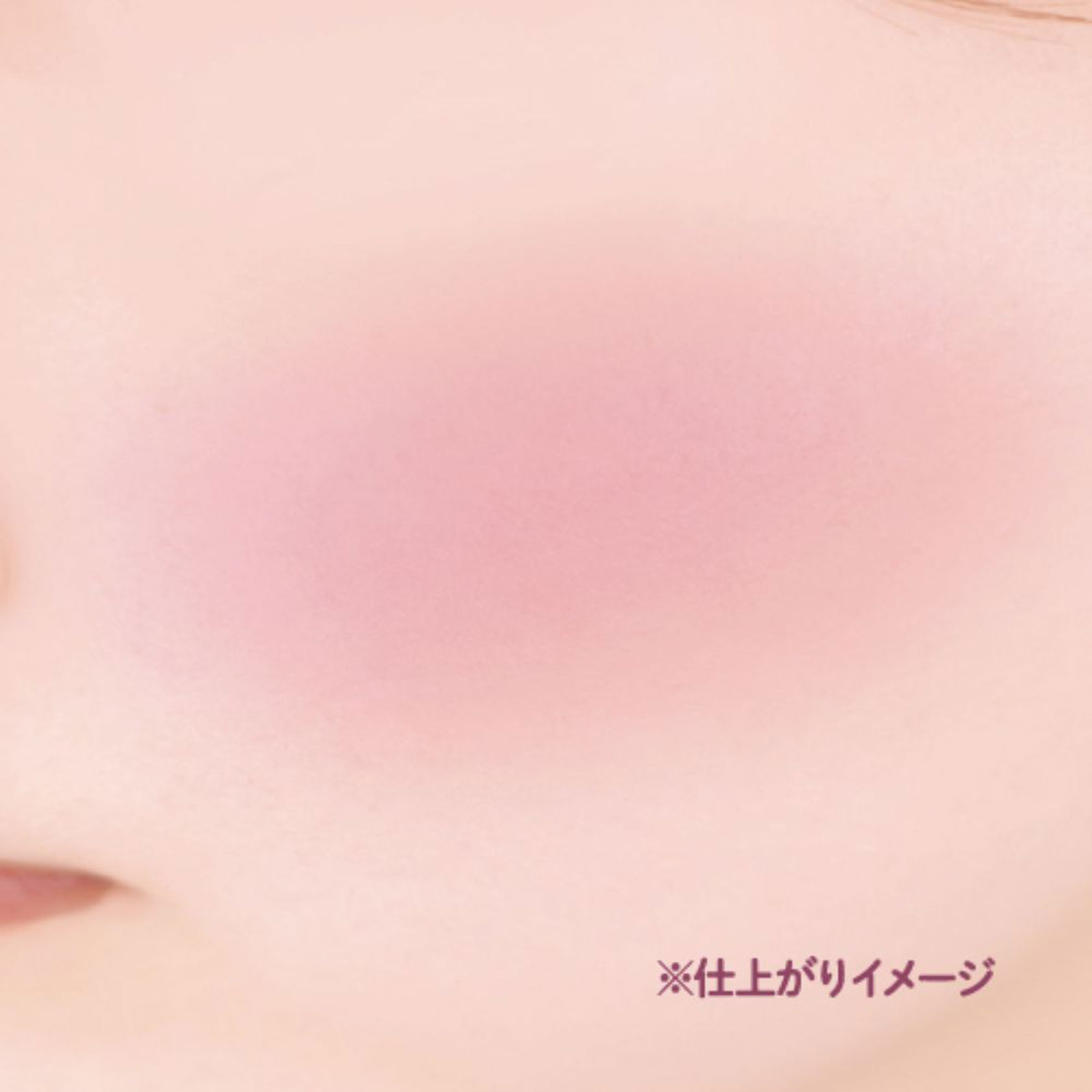 キャンメイク　パウダーチークス　Ｐ４０ｔｈｘ ＿ 井田ラボラトリーズ